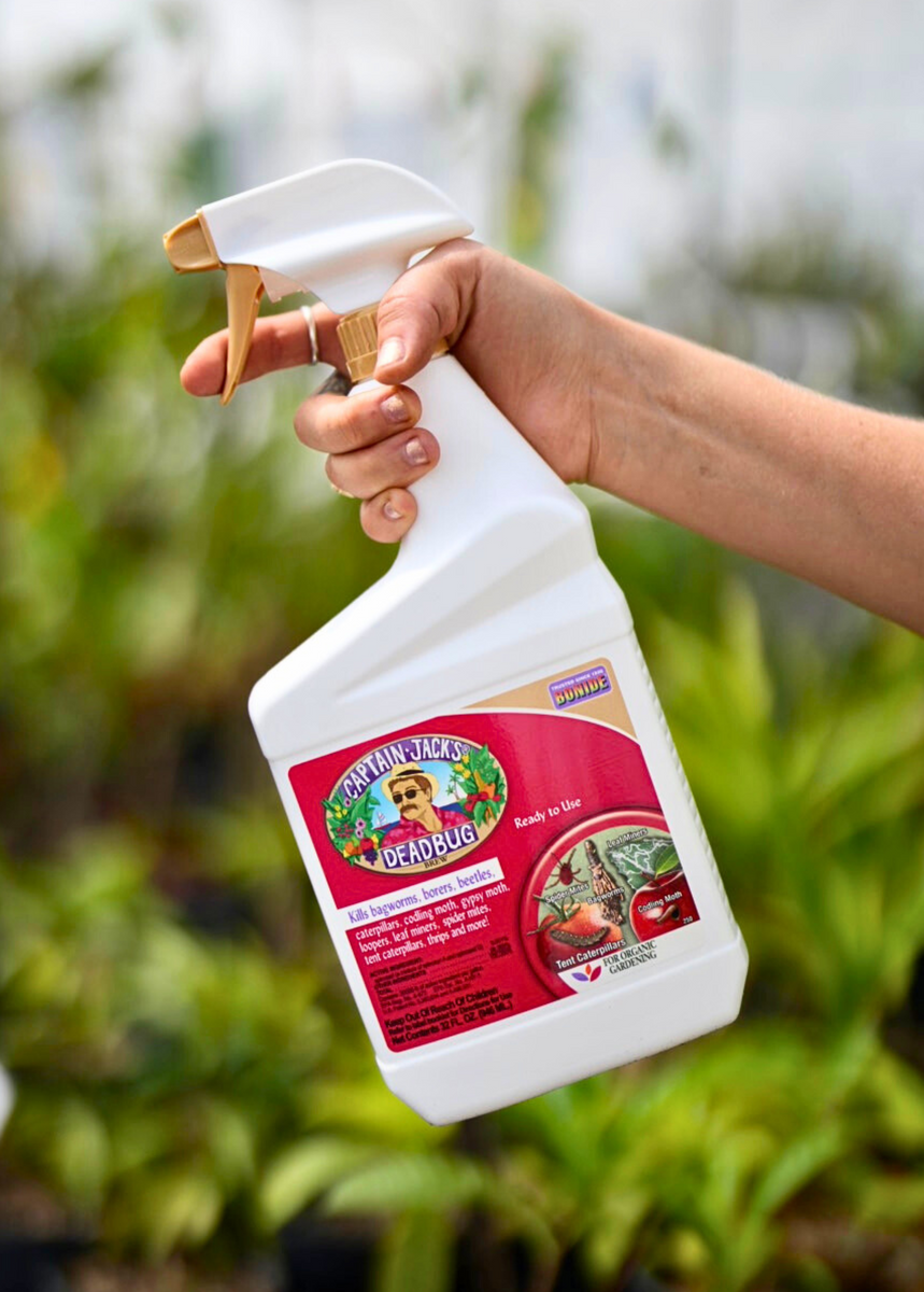captain jack garden spray Captain Jack's Dead Bug Brew