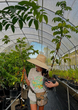 Sierra Palm Extra-Wide Sun Hat