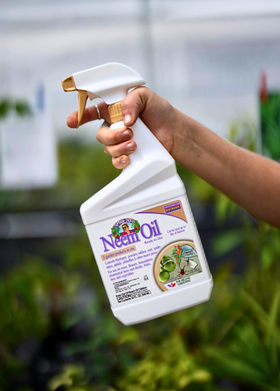 Captain Jack's Neem Oil