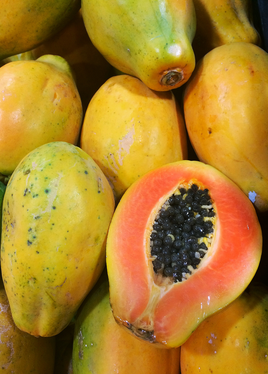 Sunset Solo Papaya Plant for Sale Sow Exotic