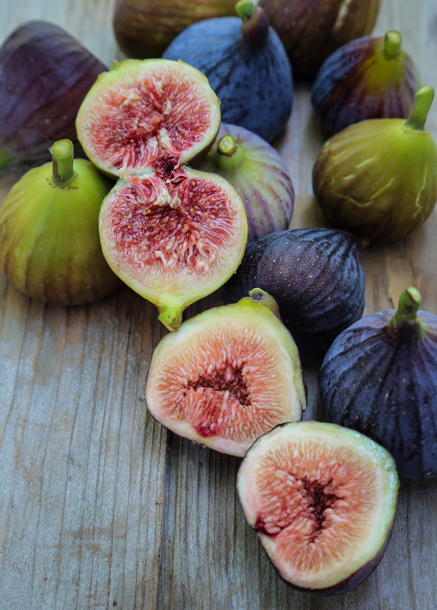 Fig 'violete De Bordeaux' (ficus Carica) 