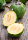 Pineapple Guava (Feijoa sellowiana)