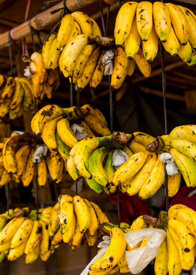 several clusters of ripe yellow with brown spots Lacatan bananas hanging from beams in market stall