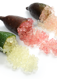 Green Finger Lime (Citrus australasica)