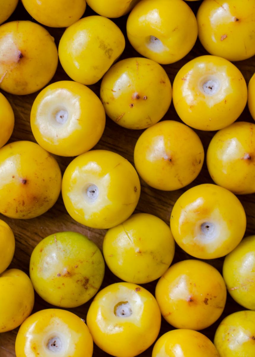 Nance Fruit Tree, Byrsonima crassifolia Tropical Fruit Sow Exotic