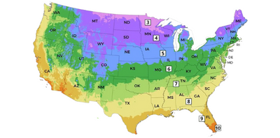 What's My Growing Zone? A Beginner's Guide to USDA Zones (and Why They Aren’t the Whole Story) 🌎🌿