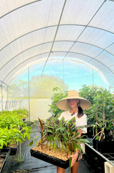 🎃 October Growing Guide: Mild Days, Warm Soil - Time to Plant!