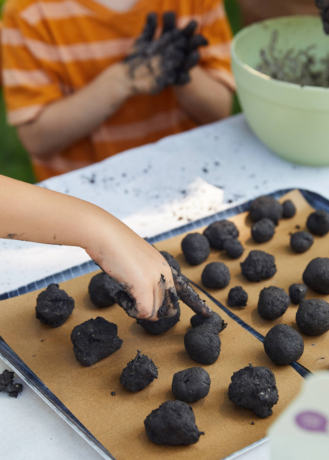 DIY Seed Ball Kit – Sow Exotic