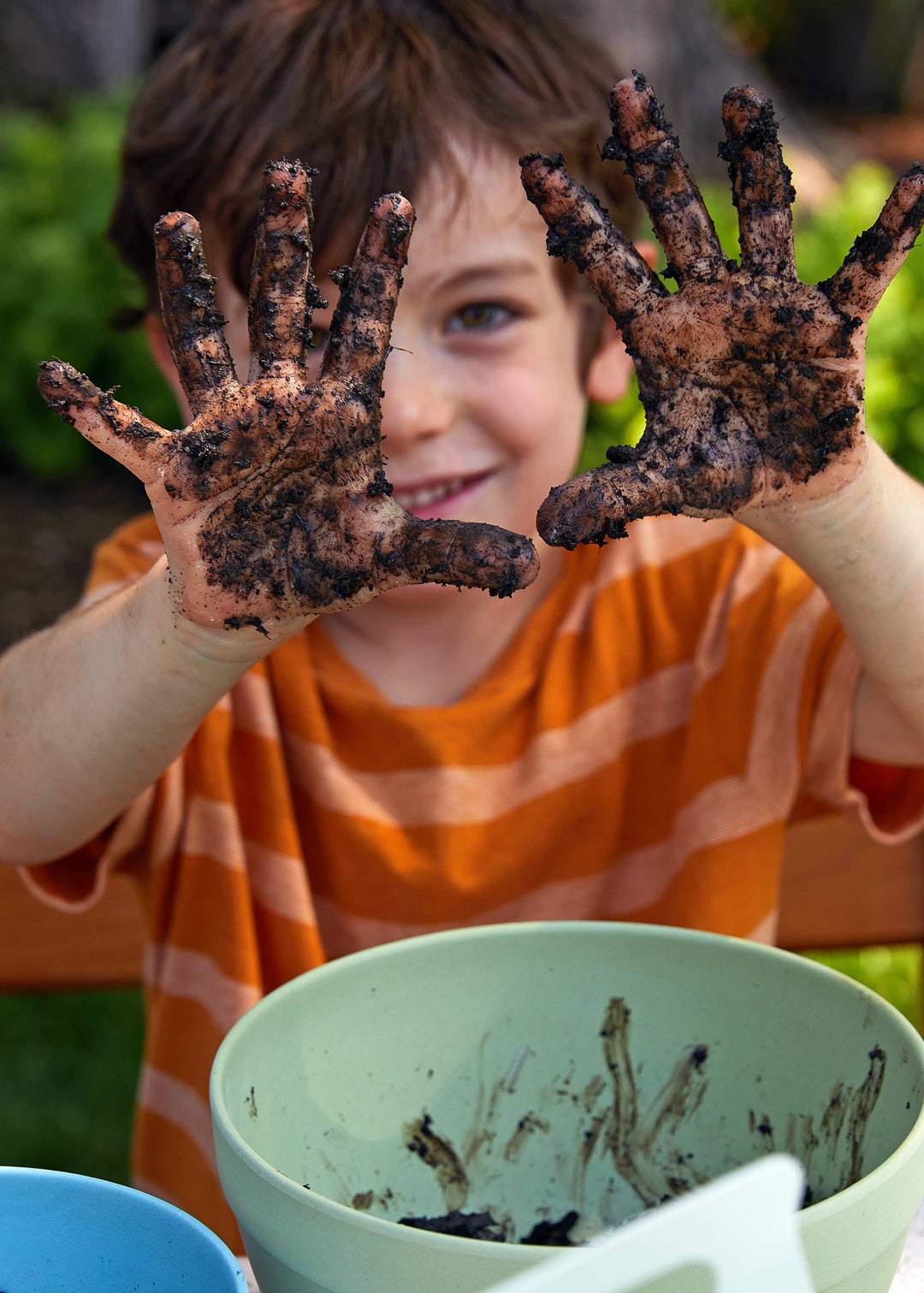 DIY Seed Ball Kit – Sow Exotic