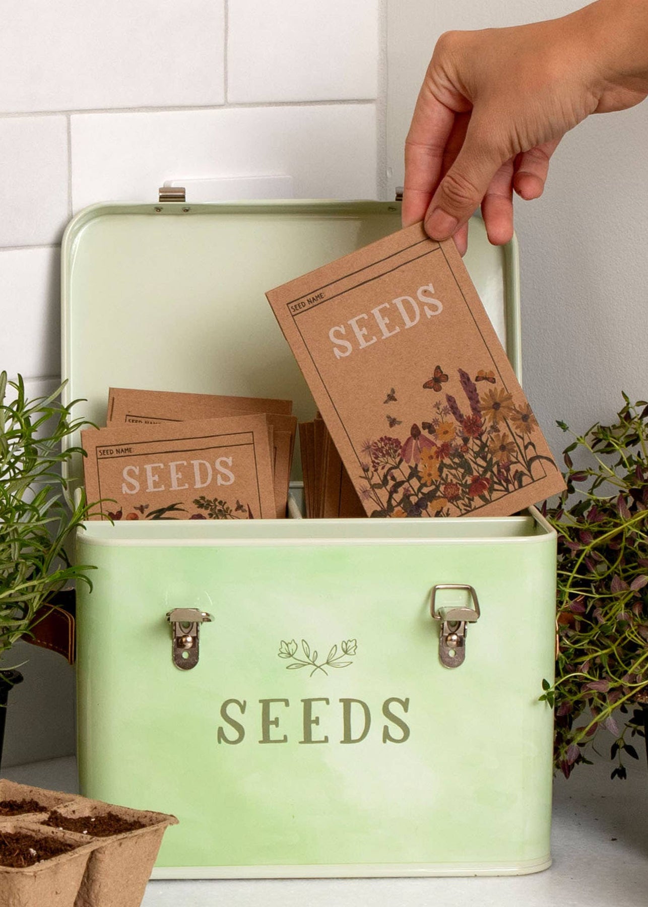 plant seed storage box Heirloom Tin Seed Storage Box – Sow Exotic