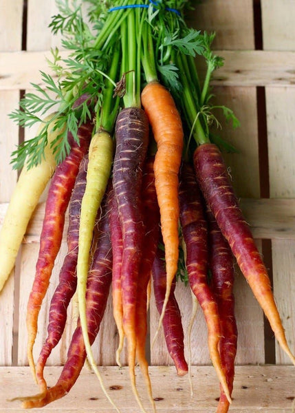 seeds of change garden carrot blend Rainbow Blend Carrot Seeds – Sow Exotic