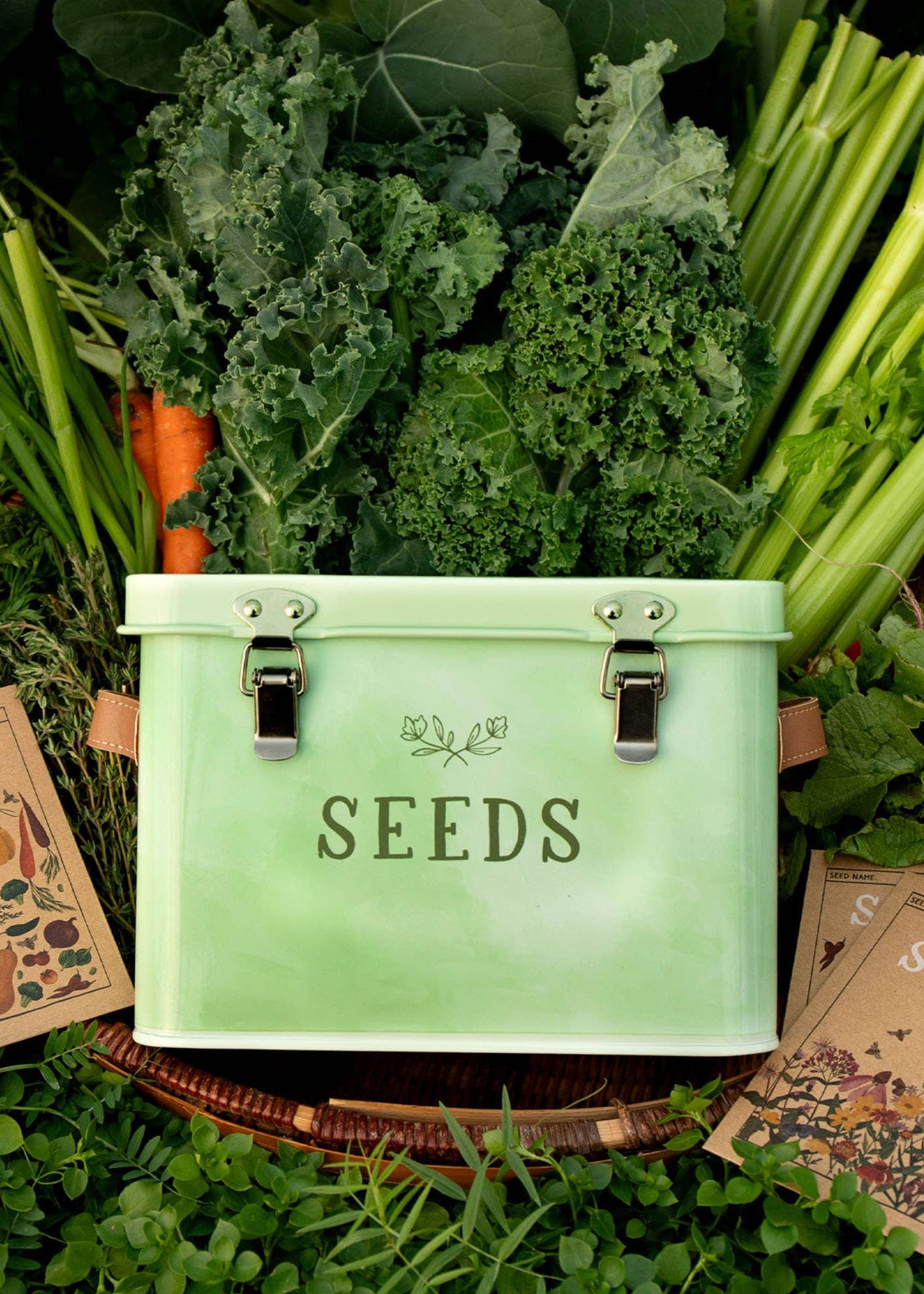 garden seed tin Heirloom Tin Seed Storage Box – Sow Exotic
