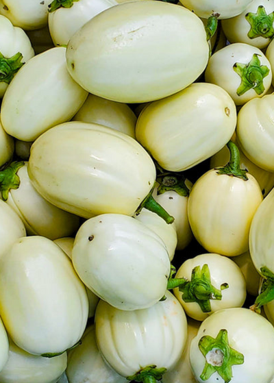 Close up of various sizes of African eggplant. White with green stem, somewhat pumpkin shaped.