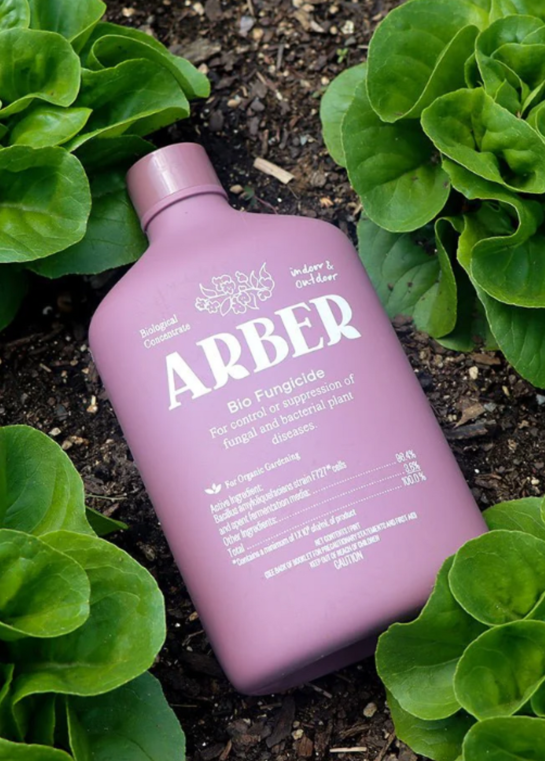 fungicide for indoor plants Arber Organic Bio Fungicide – Sow Exotic