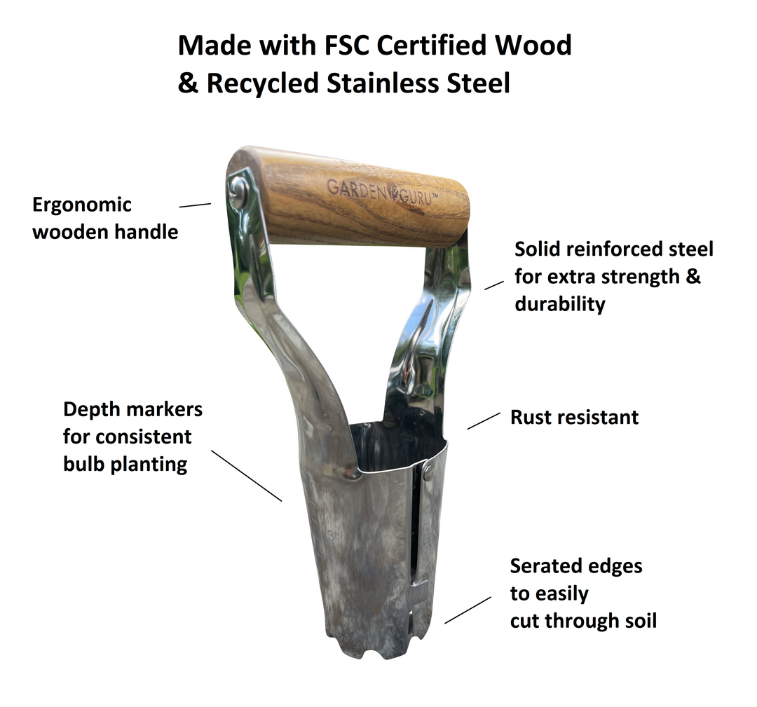 Garden Guru Eco Bulb Planter - 100% Recycled Stainless Steel - Rust Resistant - FSC Certified Wood Ergonomic Handle