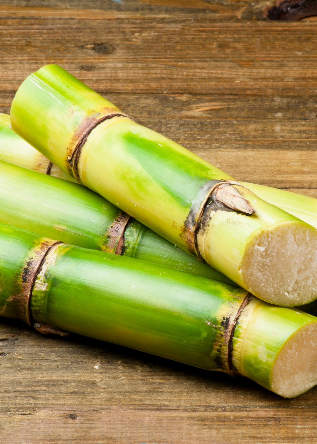 Green Sugar Cane Plants For Sale - SowExotic.com – Sow Exotic