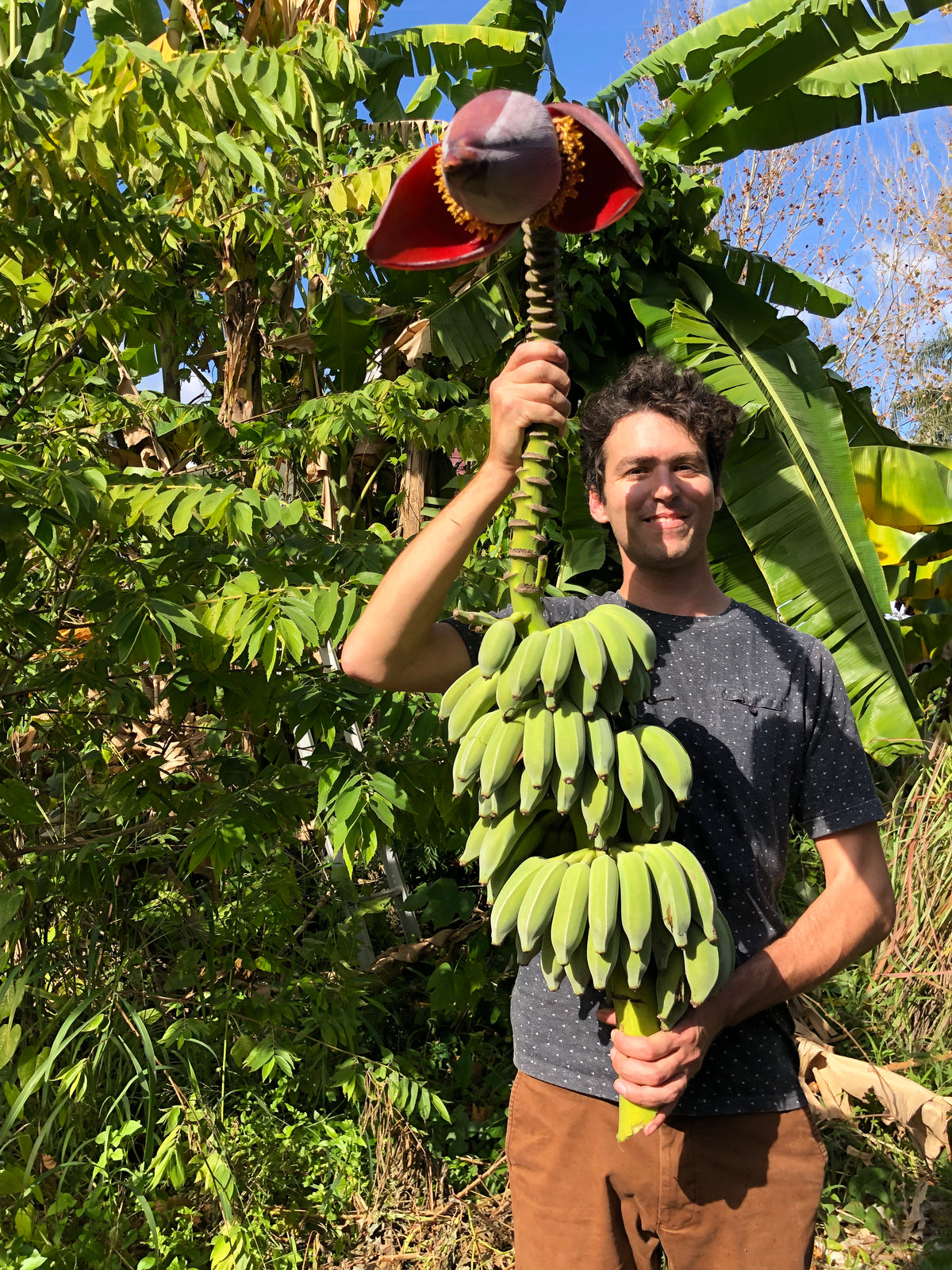 Our Story Sow Exotic