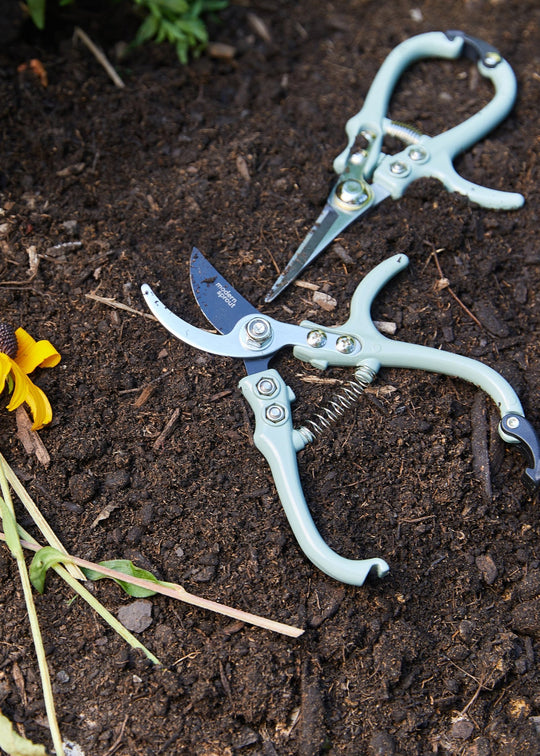plant scissors garden Gardening Shears & Pruners