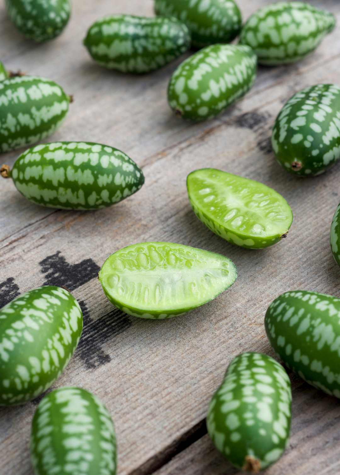 Mouse Melon Plants for Sale - SowExotic.com – Sow Exotic