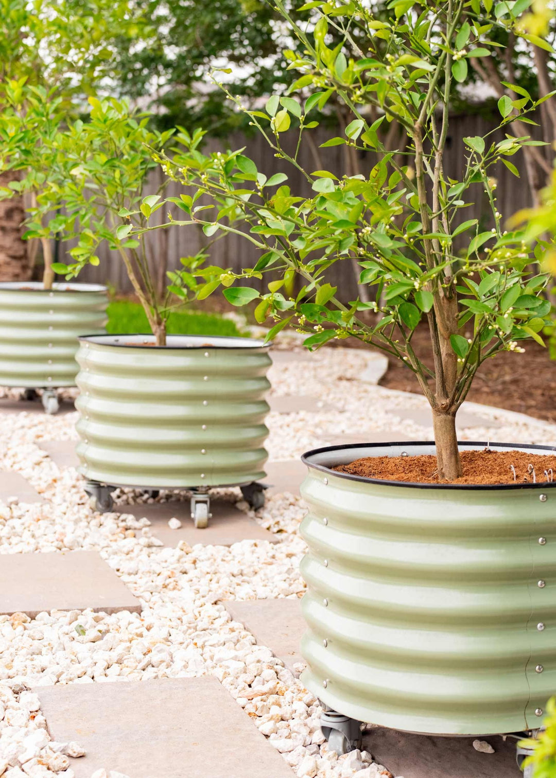 Self-Watering Rolling Planter by Vego Garden – Sow Exotic