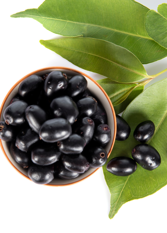 Java Plum Food Java Plum Fruit