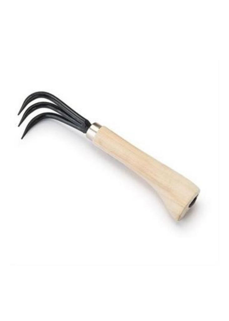 Sow Exotic Ne-Kaki Root Rake