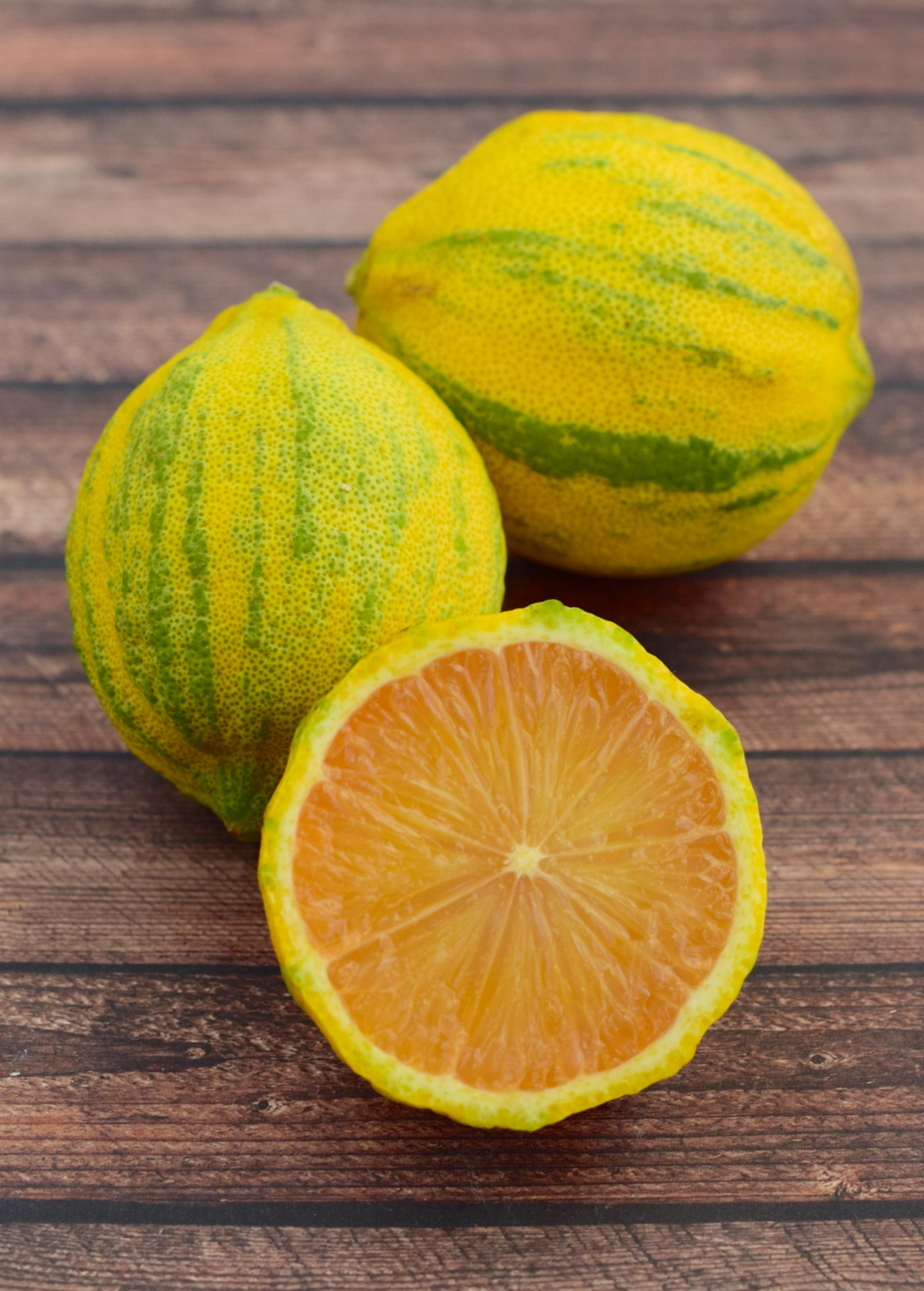Variegated Pink Lemon Trees For Sale - SowExotic.com – Sow Exotic