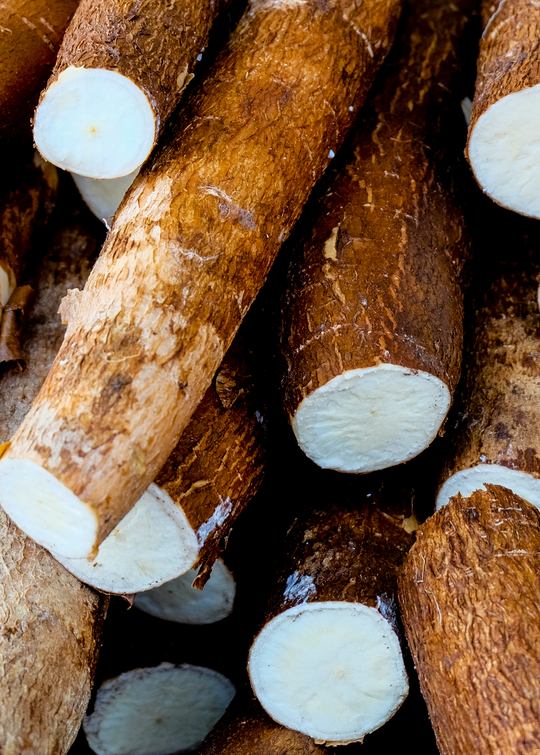 BIG SIZE yuca mandioca cassava 20kg 野菜