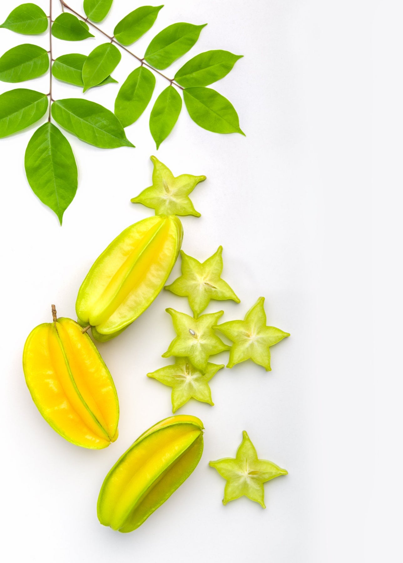 Star Fruit SEEDS - Untreated & Heirloom - Starfruit - Averrhoa carambola - Easy to Grow Fruit Star Fruit SEEDS - Untreated & Heirloom - Starfruit - Averrhoa carambola - Easy to Grow Fruit