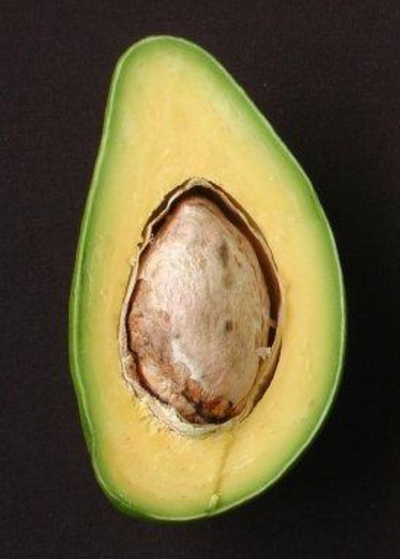 oblong Catalina avocado cut in half to expose light yellow interior and large seed