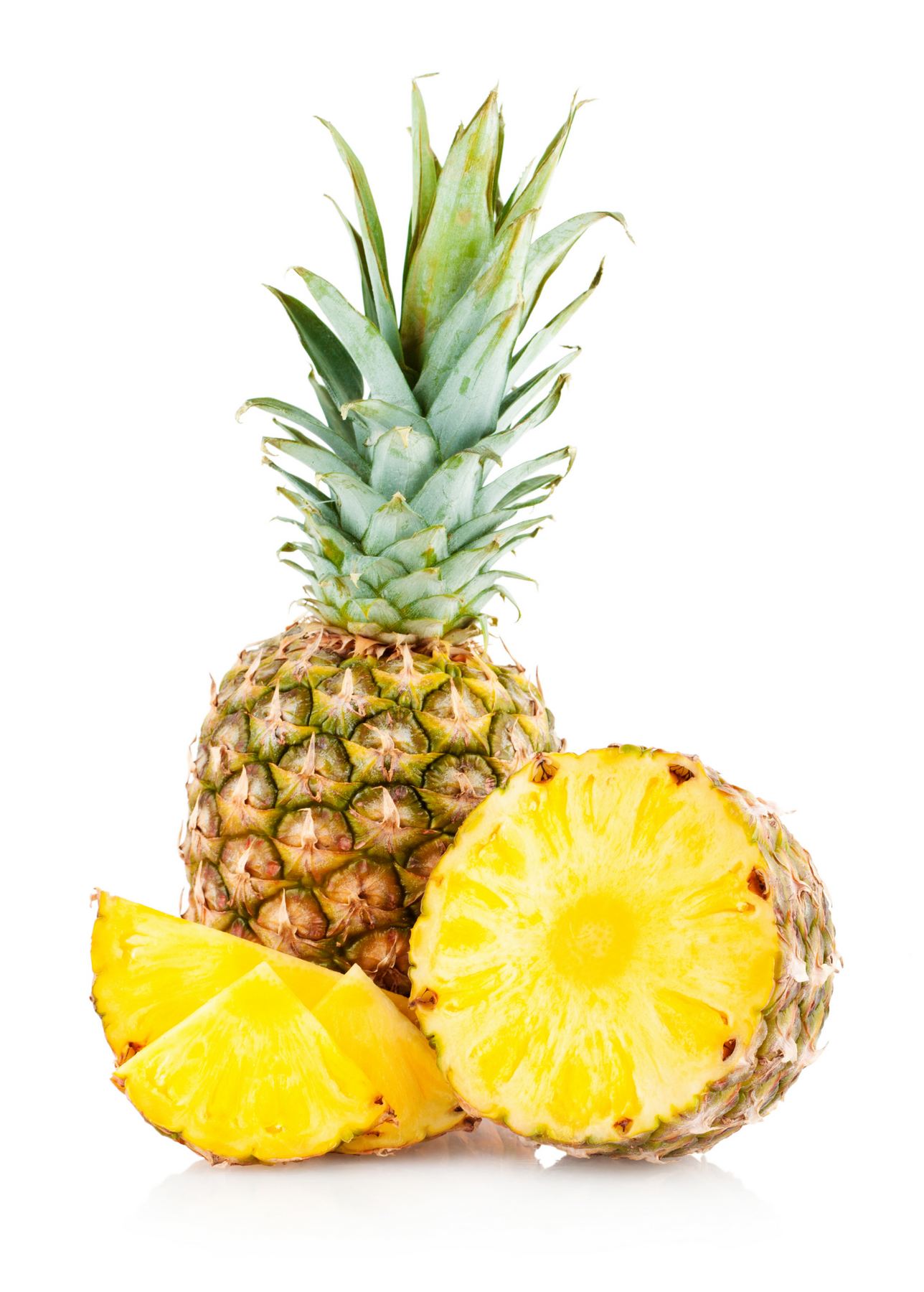 golden pineapple plant Elite Gold' Pineapple | Tropical Fruit
