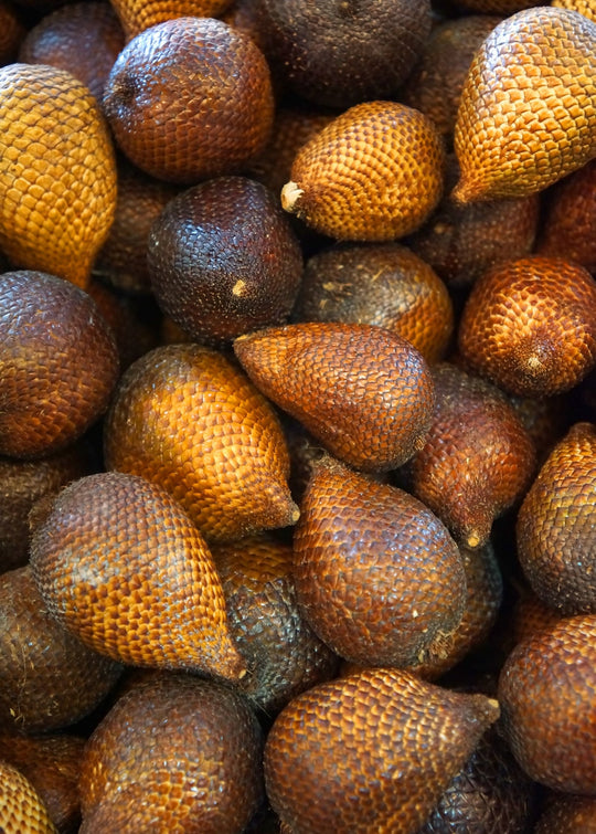 snake fruit plant Snake Fruit, Salak Plant