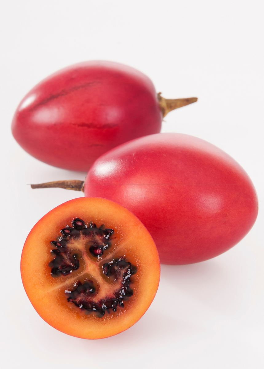 Tree Tomato Plant, Rare Fruit | Sow Exotic