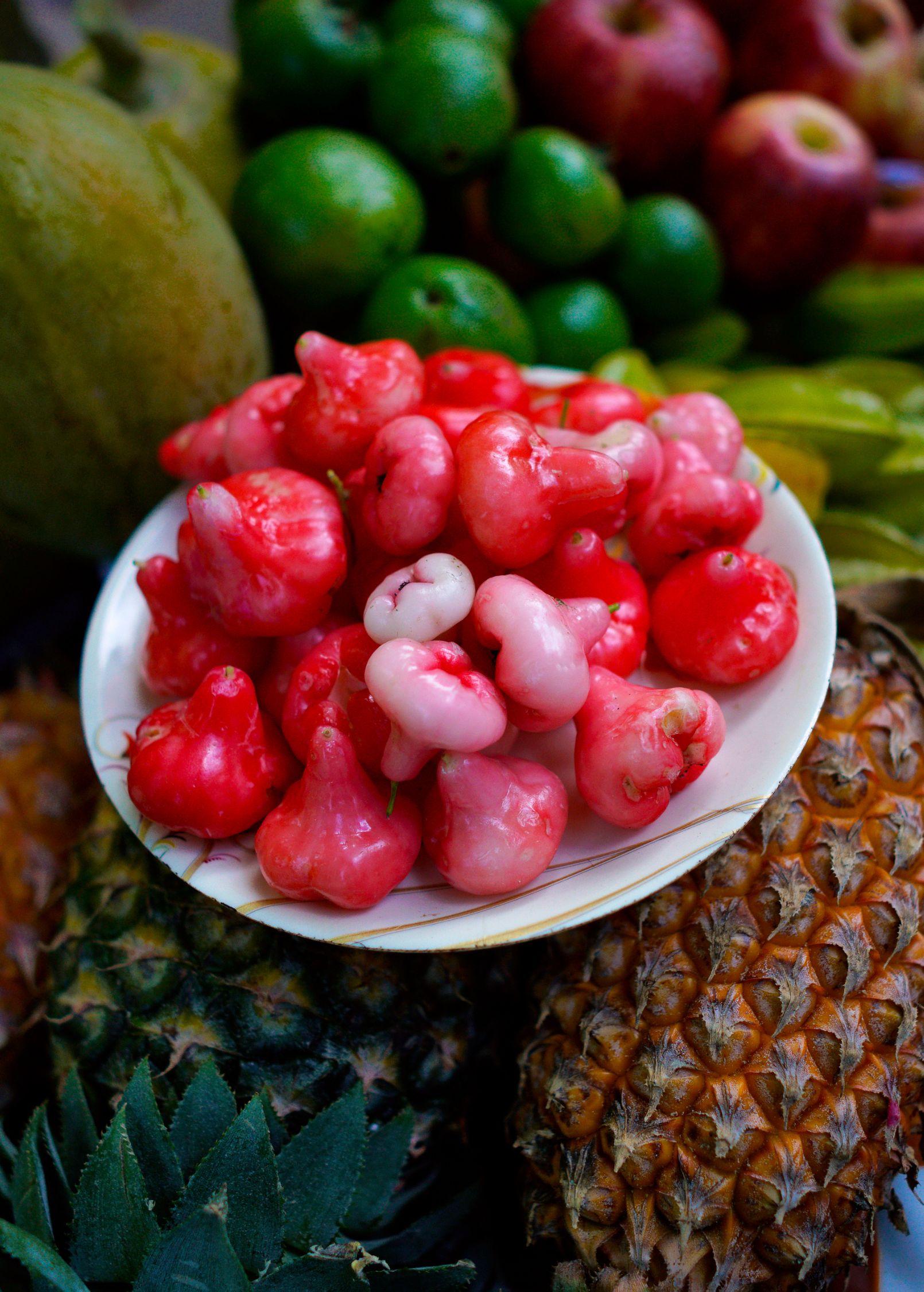 Jambu Fruit Tree Water Apple Plant At ₹ 100/piece | Jambu Plant In